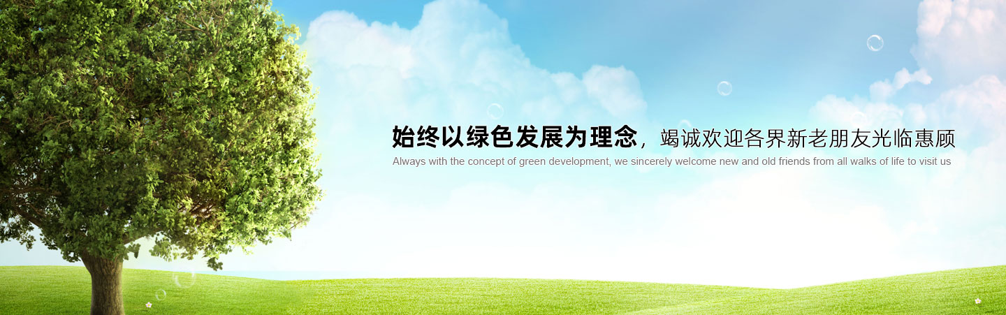 Jiangsu xinrui Aromatics Limited
