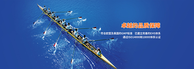 Jiangsu xinrui Aromatics Limited